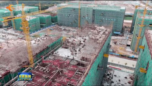 我市提前完成年度重大項目開工任務(wù)，累計新開工142個